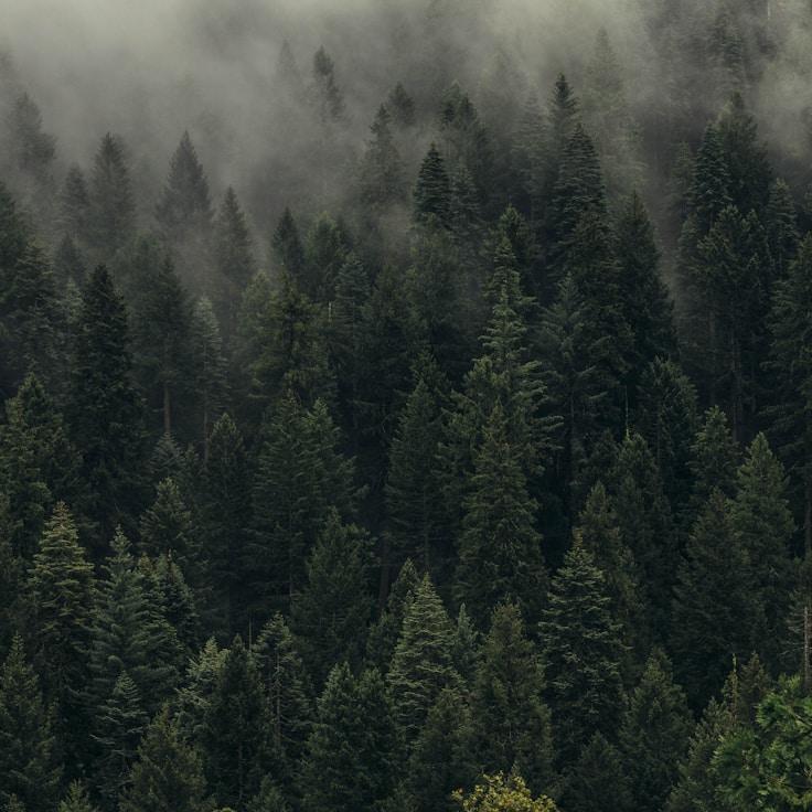 National parks landscape